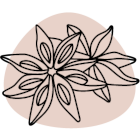 Note de tête Icon