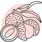 Note de tête Icon