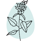 Note de cœur Icon