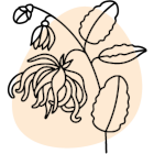 Note de cœur Icon